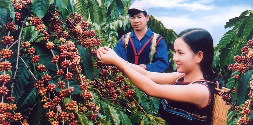 Le-village-de-cafe-Trung-Nguyen