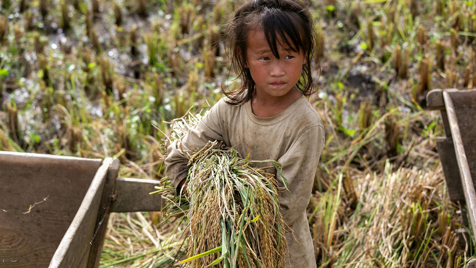 Bac Ha
