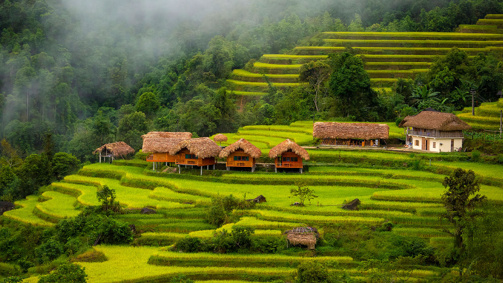 Hoang-Su-Phi-Lodge