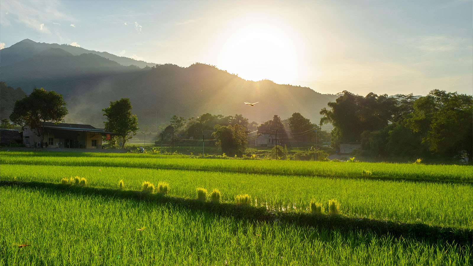 Mai Chau