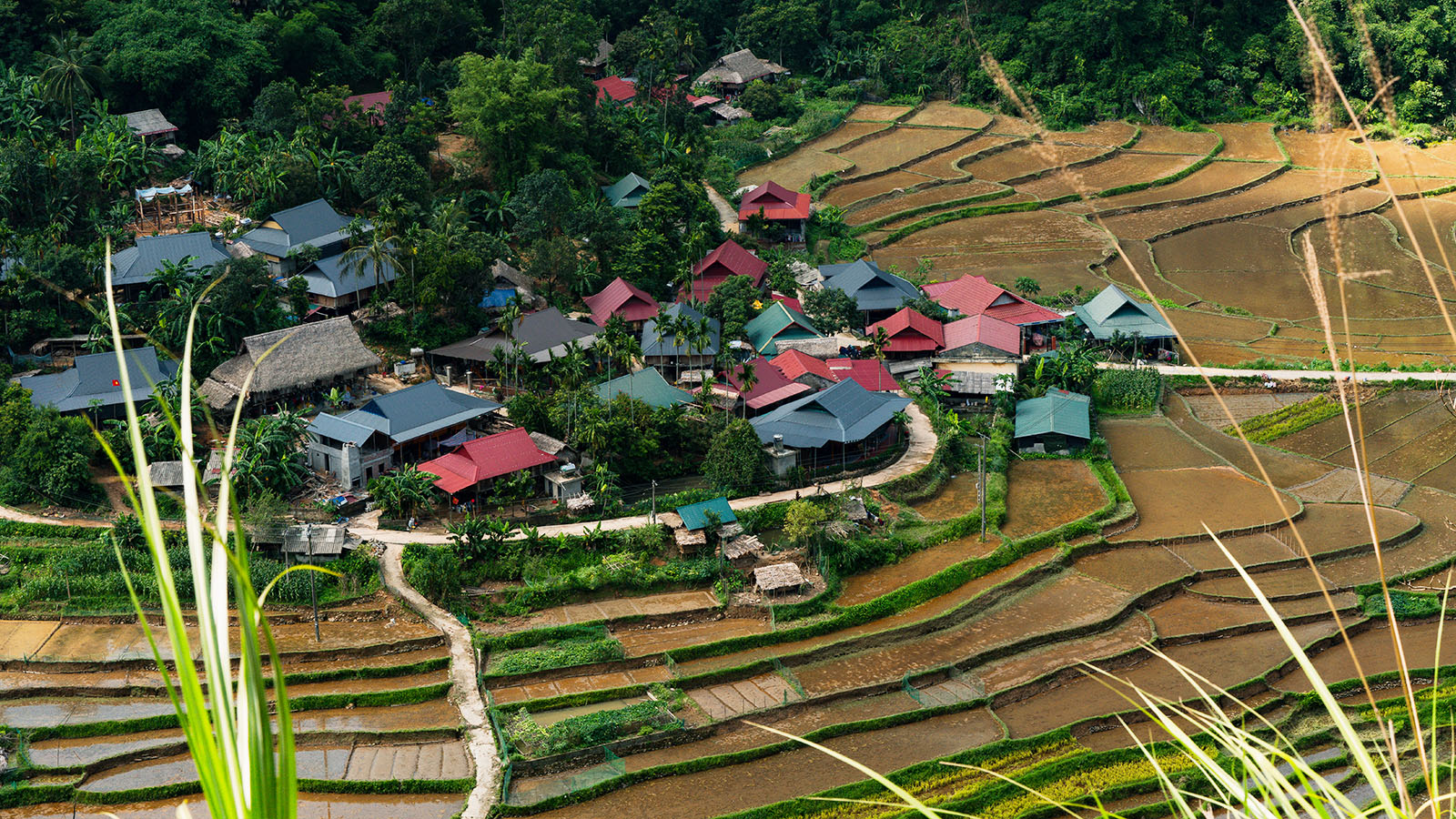 Pu Luong
