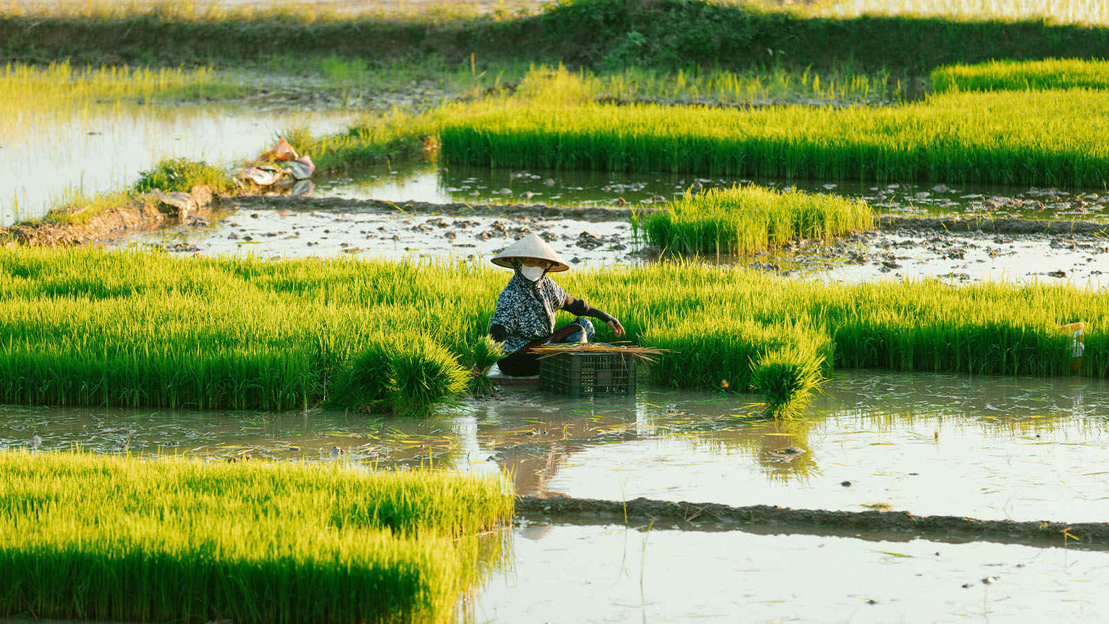 Terre-sauvage-du-Vietnam-14-jours