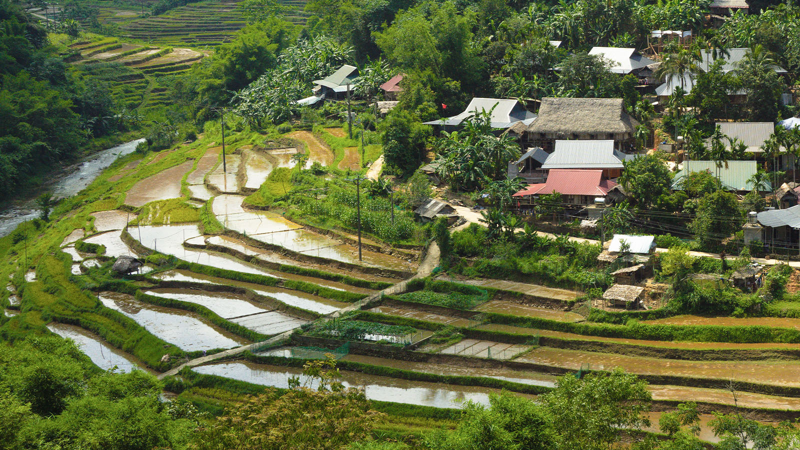 Trek-Pu-Luong