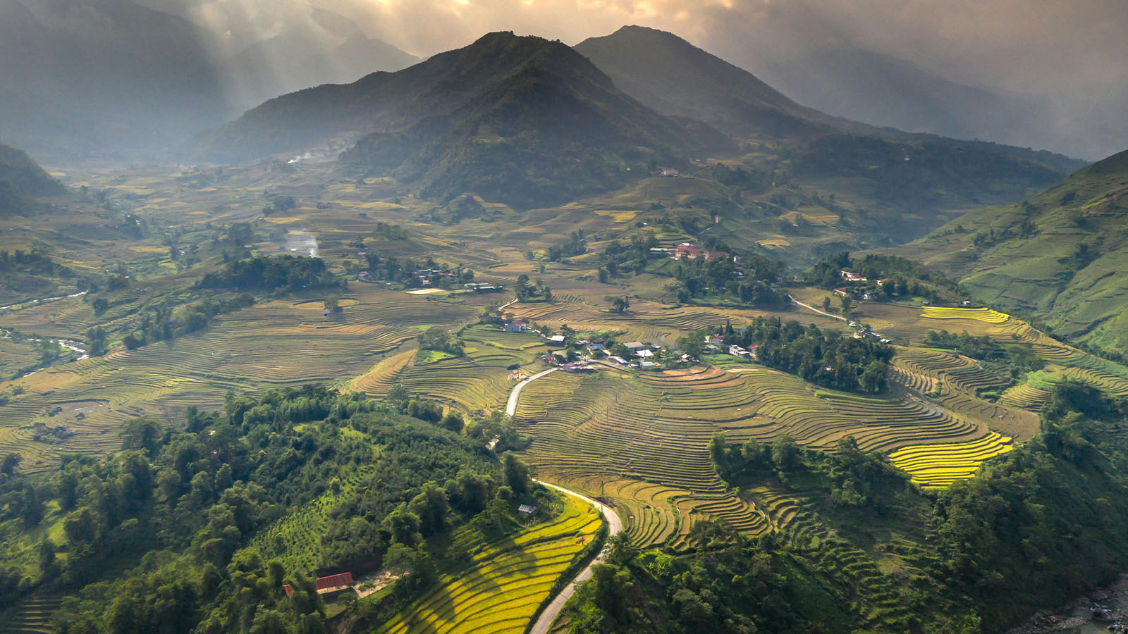 Sapa