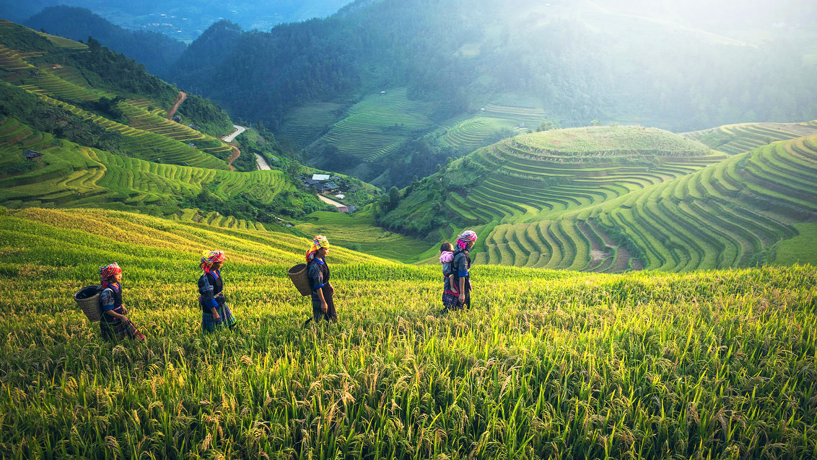 Trek-Sapa