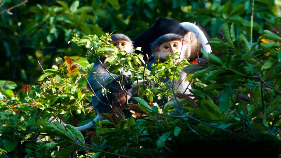 randonnee-dans-le-parc-national-de-nui-chua