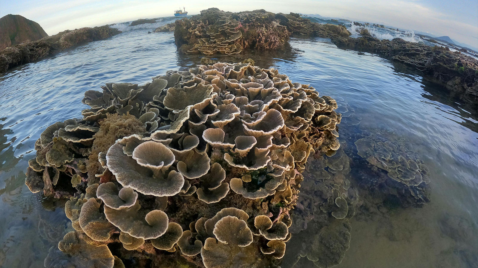 Der Meer von Nha Trang