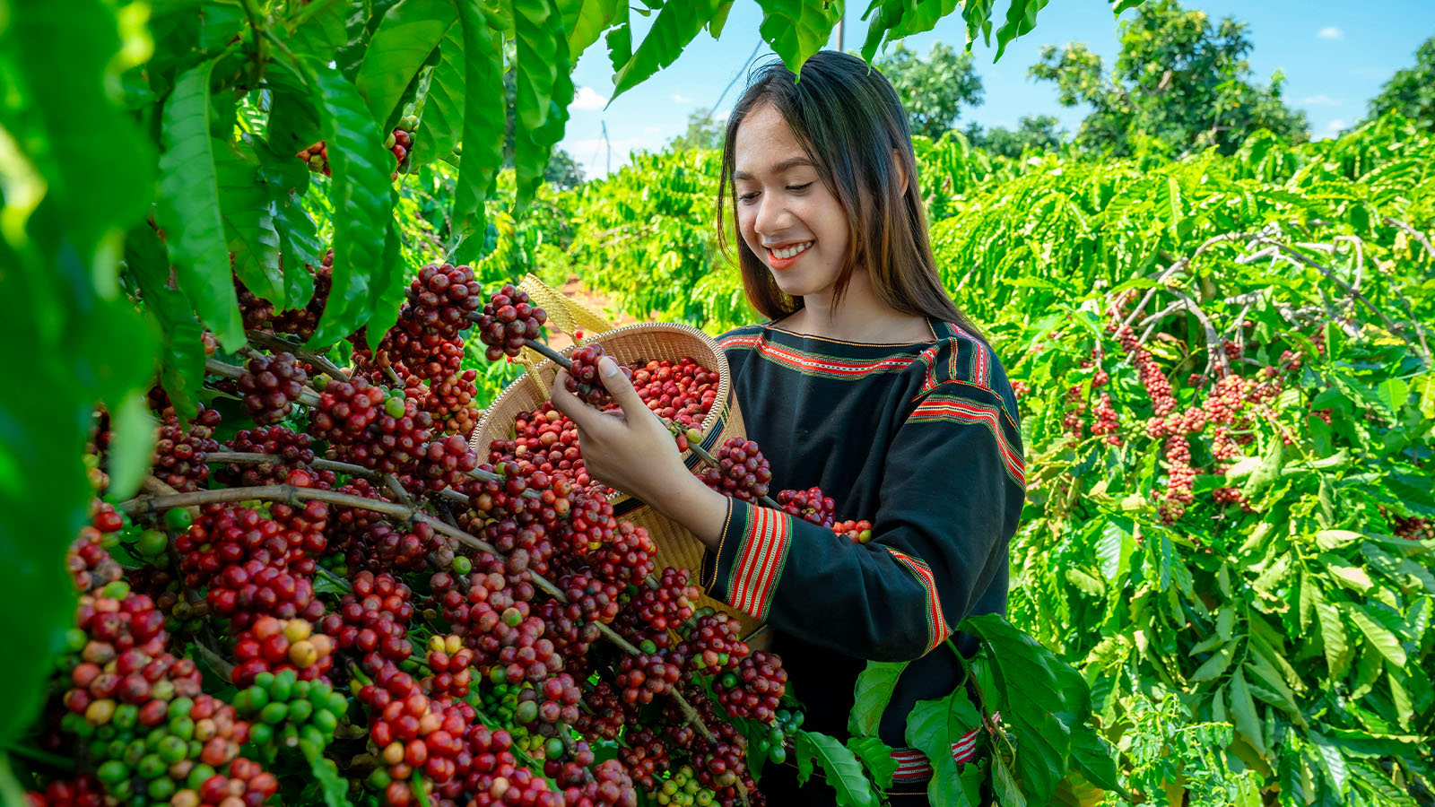 excursion-hauts-plateaux-5jours