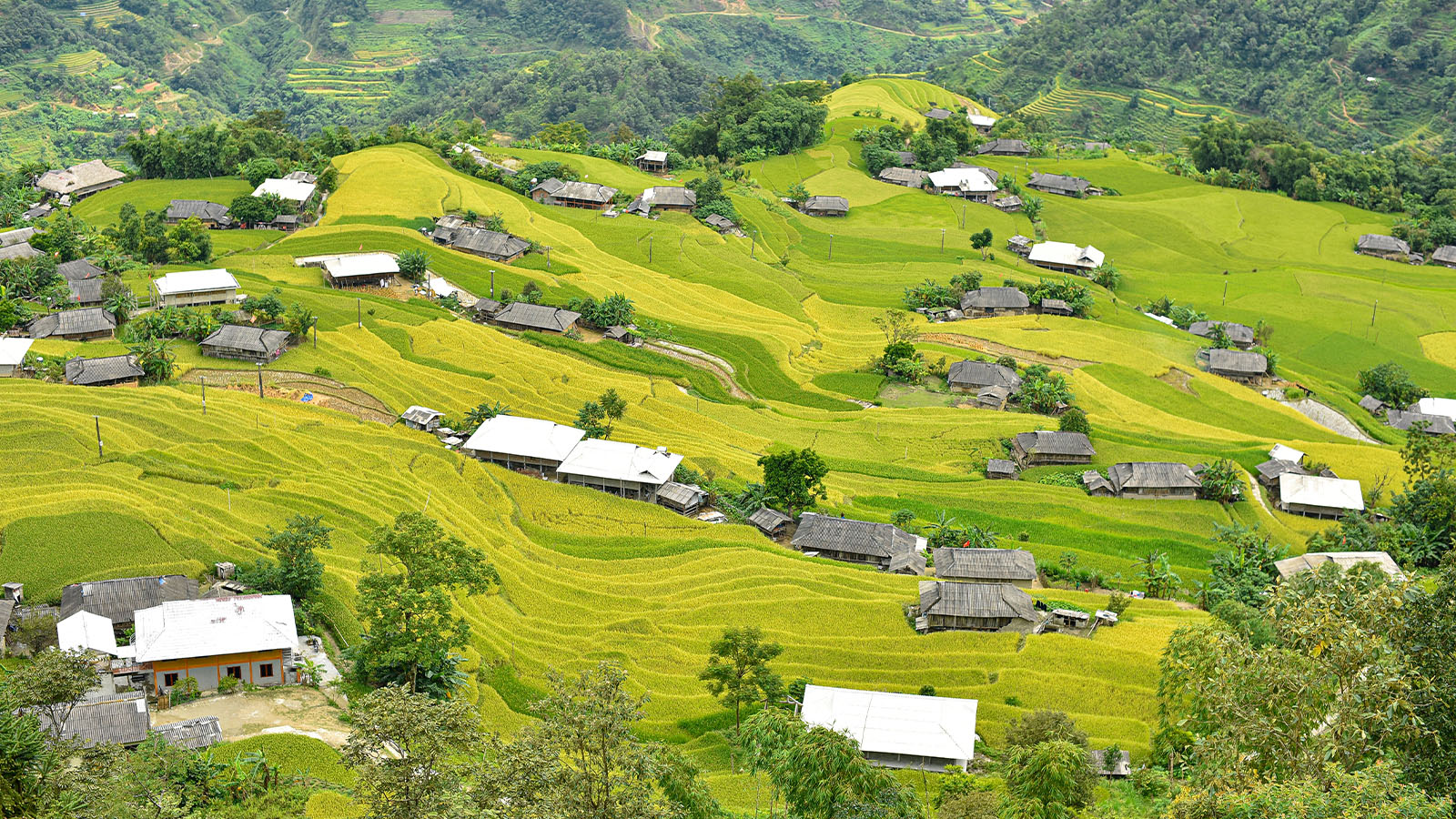 Natur von Hoang Su Phi