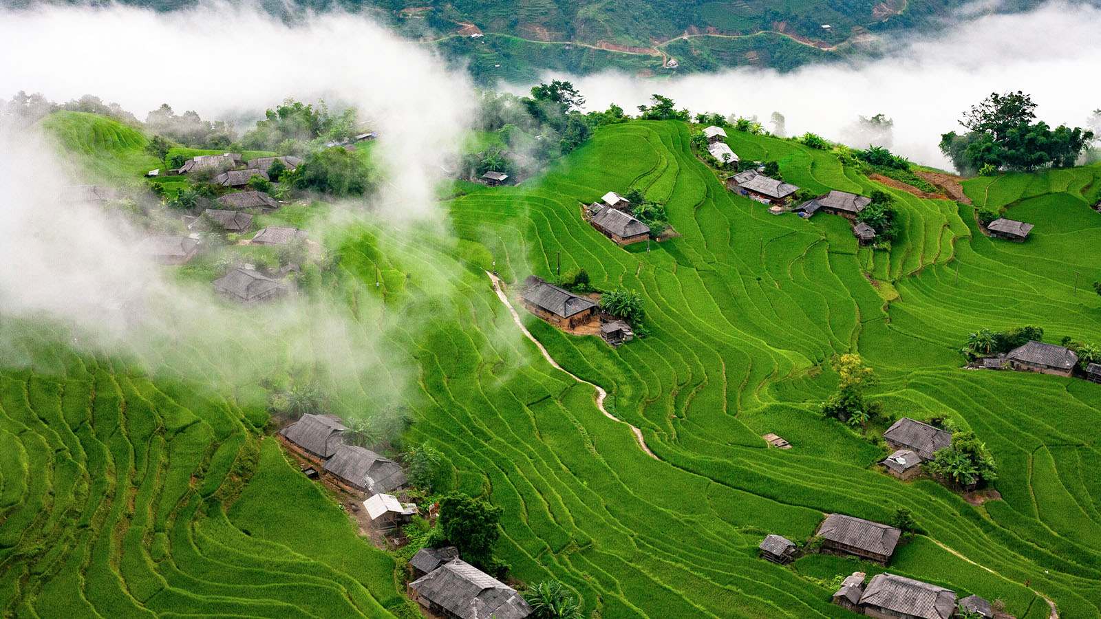 Natur von Hoang Su Phi
