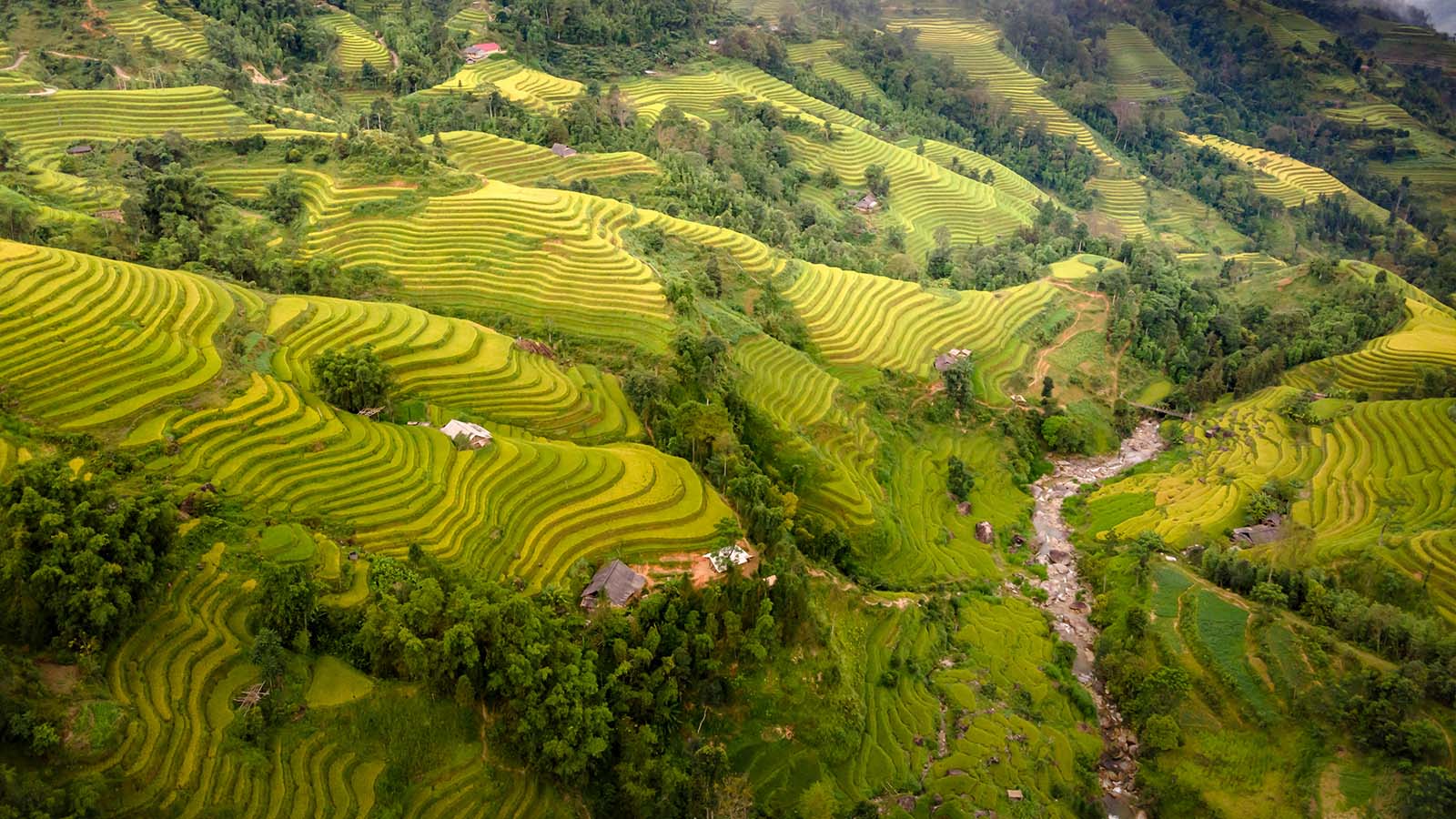 Natur von Hoang Su Phi