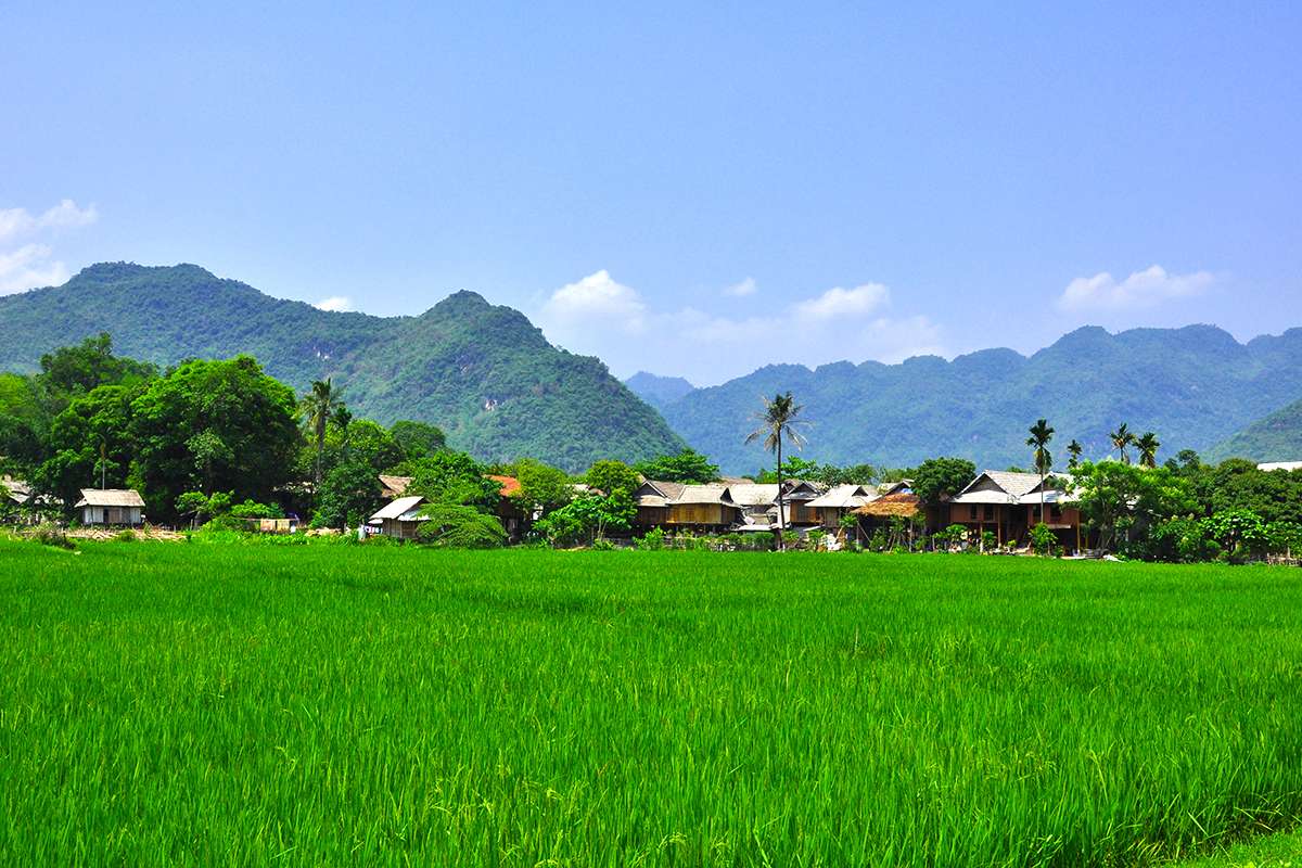 Mai-Chau