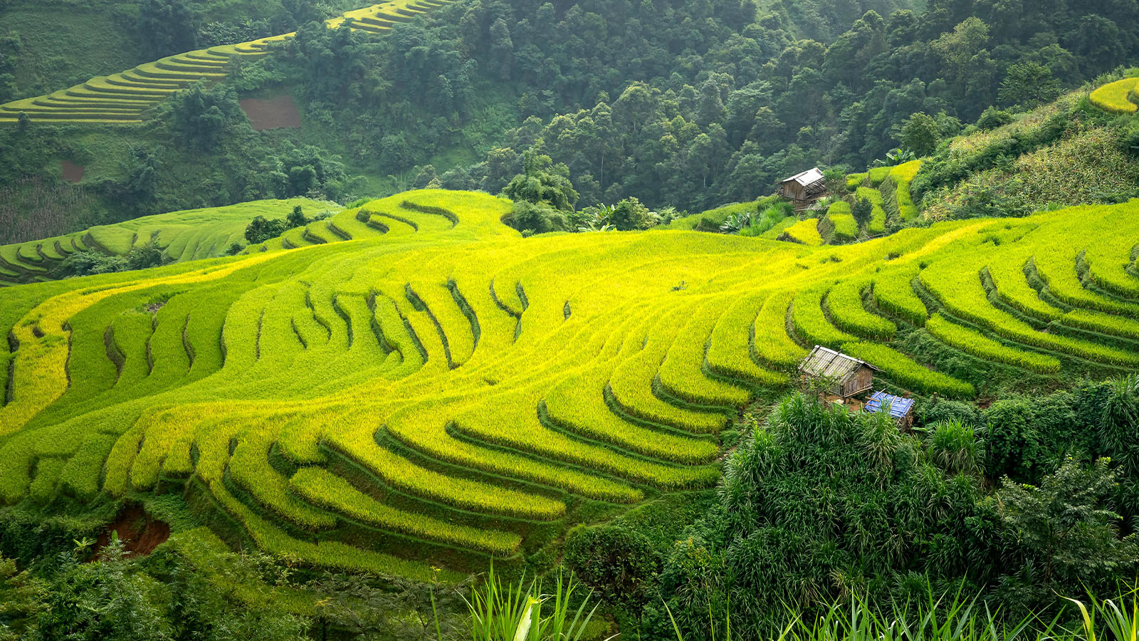 Circuit-vélo-Vietnam-15jours 