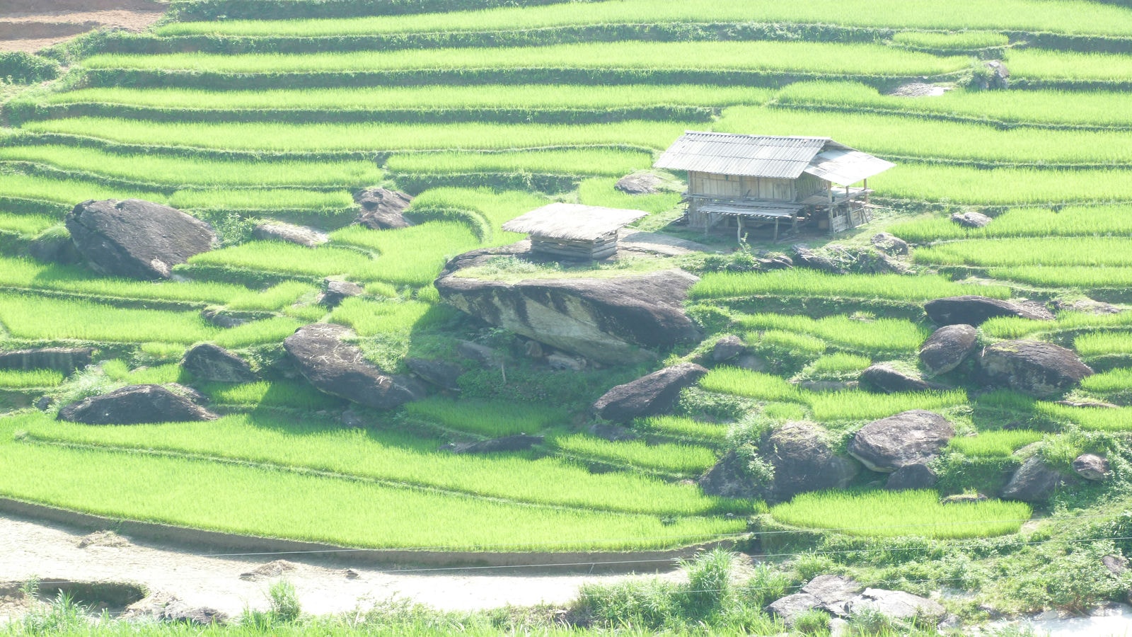 Pu-Luong