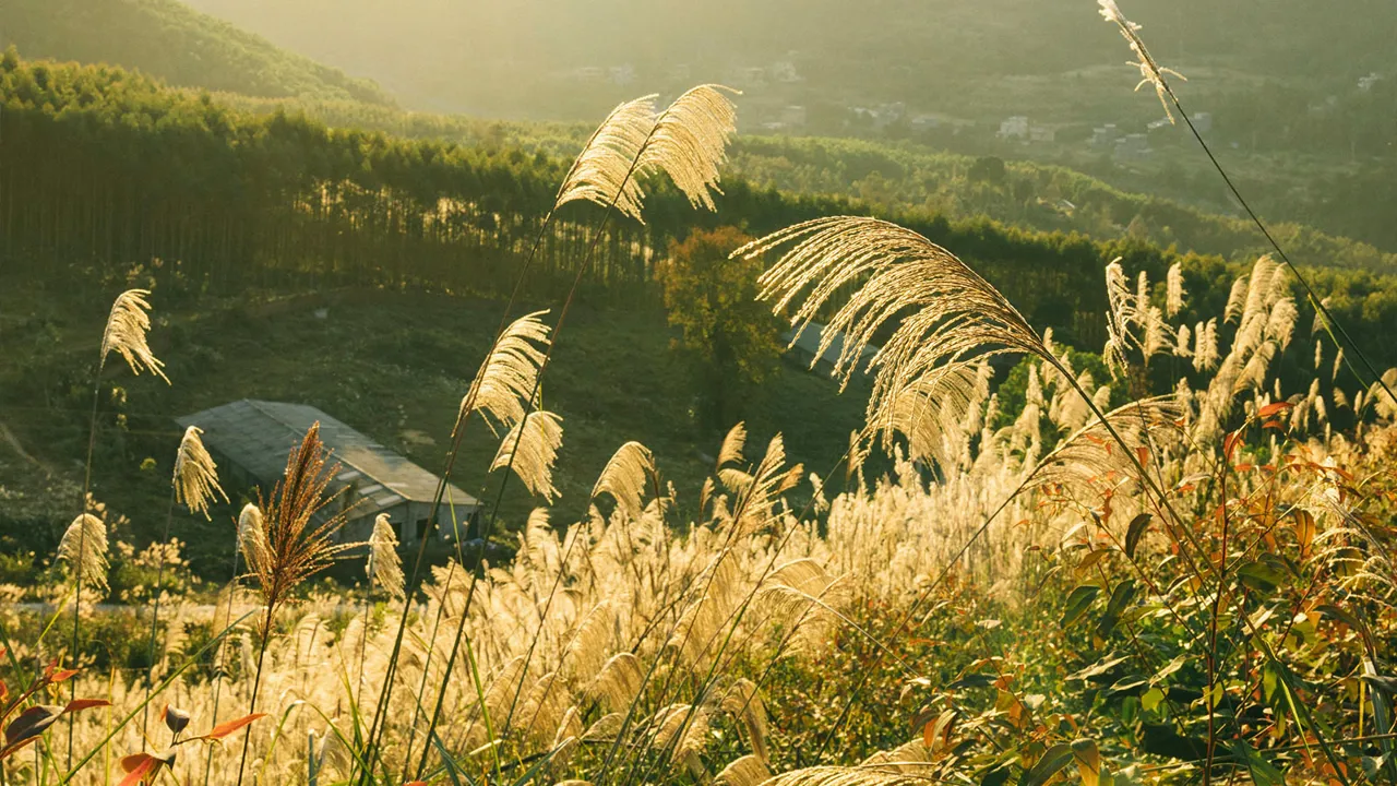 sur-la-route-de-dien-bien-phu