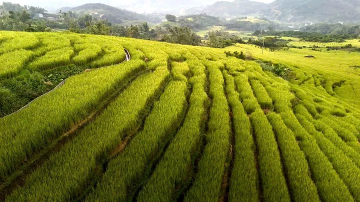 Binh-Lieu-Quang-Ninh