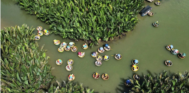 Foret-de-palmiers-de-Bay-Mau