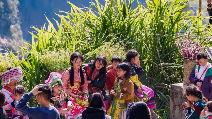 Ha-Giang-adolescent-pose-fleur