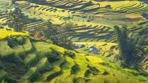 hoang-su-phi-Ha-Giang