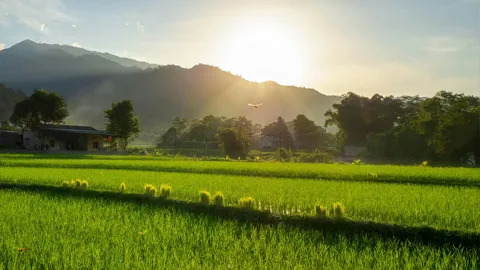 reisterrassen-in-mai-chau