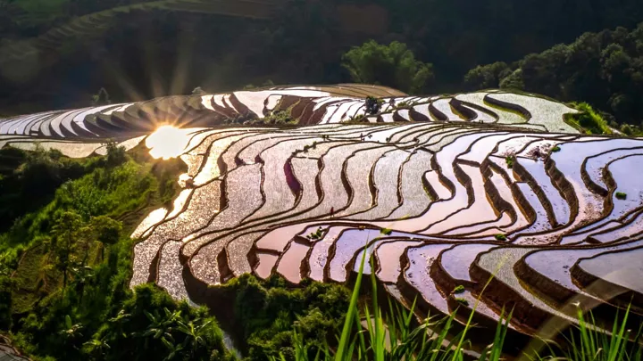 Mu-Cang-Chai-paysage