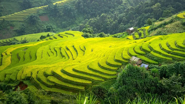Pourquoi-partir-au-Vietnam