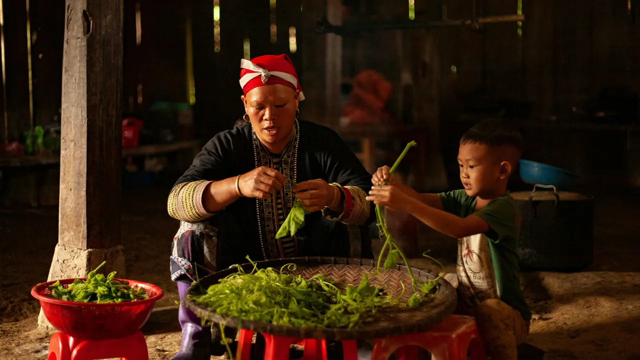 vacance-senior-au-vietnam