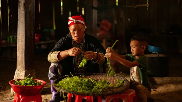 Ethnies-Vietnamiennes