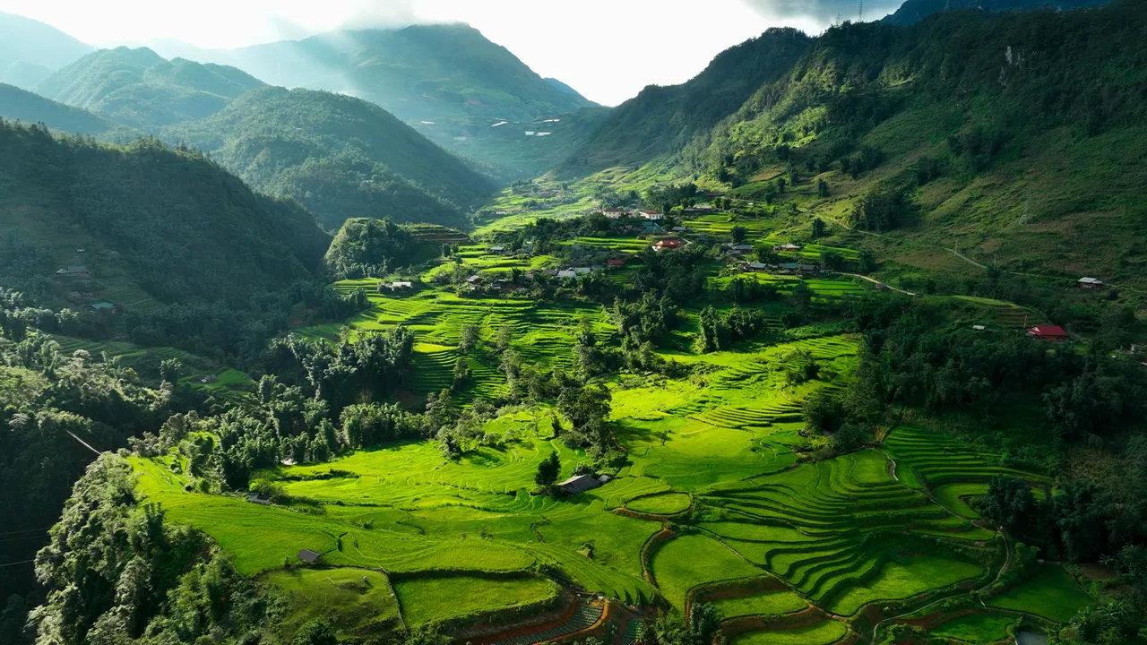 Sapa-rice-field