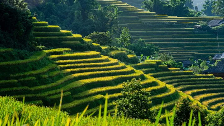 Sa-Pa-terre-ethnie-hmong