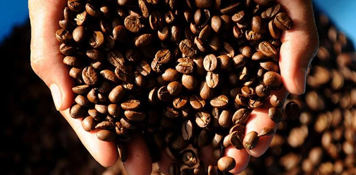 Quel-cafe-ramener-du-Vietnam