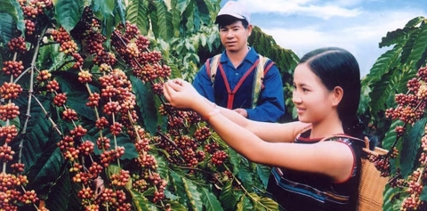 Le-village-de-cafe-Trung-Nguyen