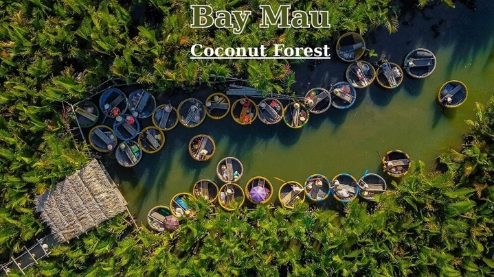 HoiAn-que-faire-foret-cocotiers