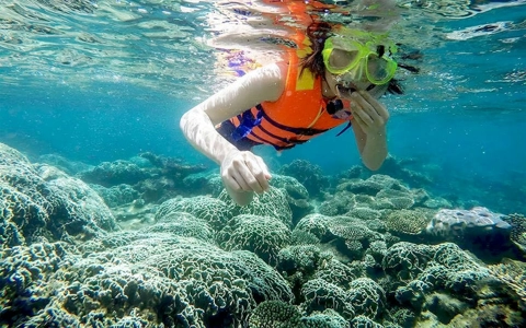 travel-to-vietnam-from-german