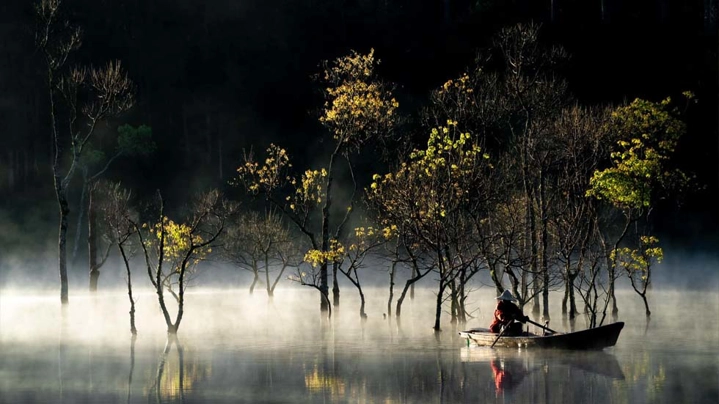 Da-Lat-Tuyen-Lam-lac