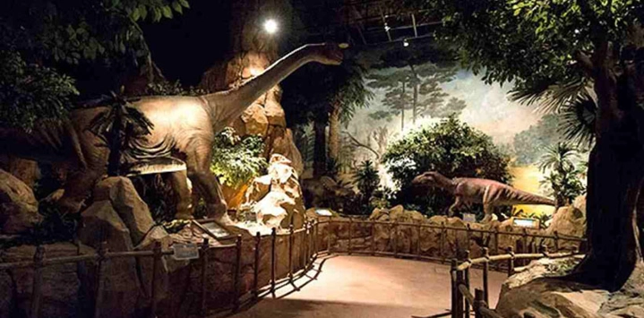 Parc-Fantasy-Vietnam