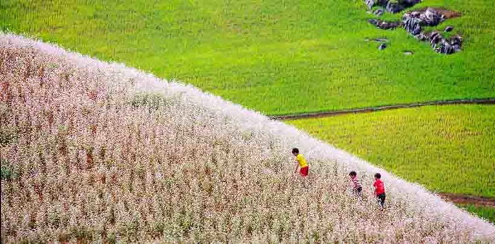 Loop-Ha-Giang-en-voiture