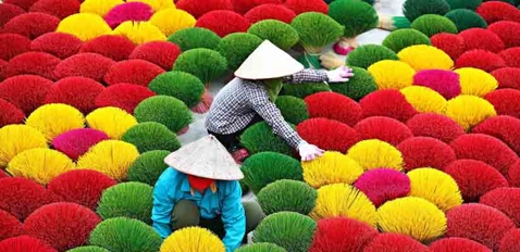 village-quang-phu-cau