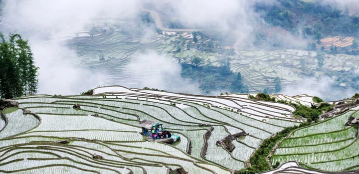 Lezz-rizieres-en-terrasse-a-Sapa