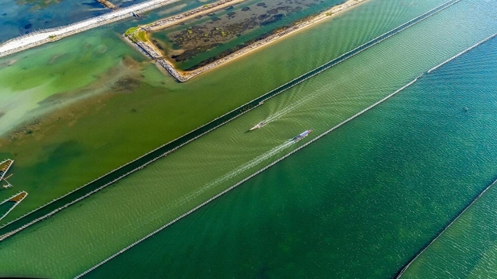 TamGiang-lagune-nuance