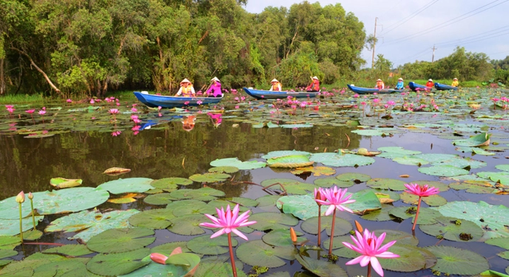 Le-pont-en-bois-de-Tan-Lap