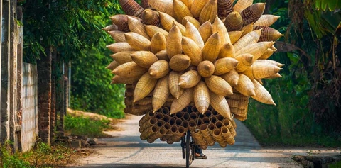 village-vannerie-de-thu-sy-a-hung-yen