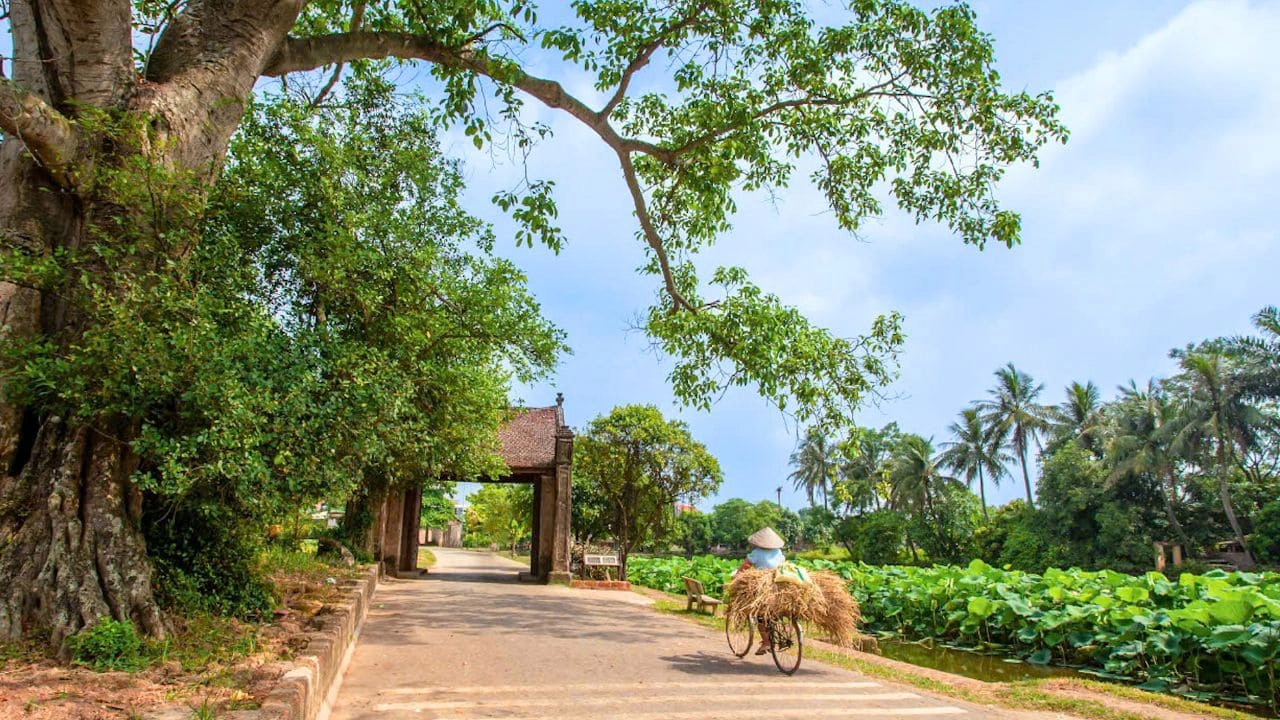 alten-dorfes-duong-lam