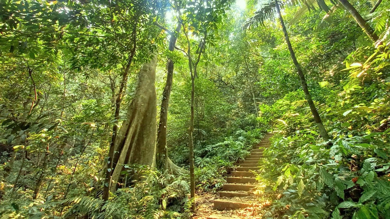 randonnee-dans-le-parc-national-de-nui-chua