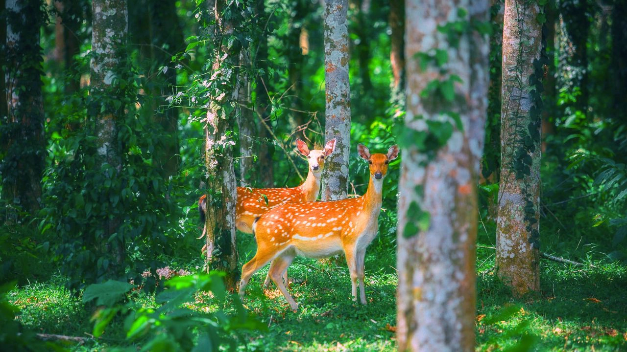 randonnee-dans-le-parc-national-de-nui-chua