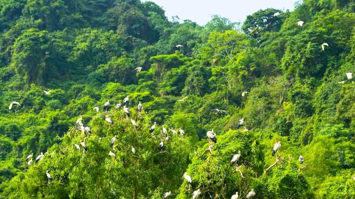 Thung-Nham-Ninh-Binh