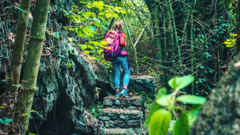 what-to-do-in-vietnam-for-15-days