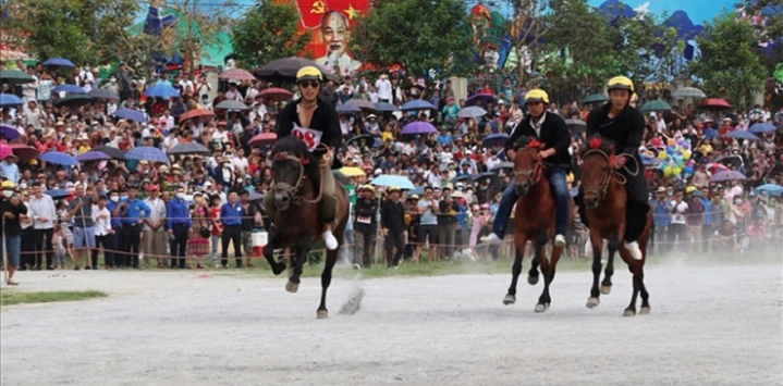 Competition-de-chevaux-a-Bac-Ha