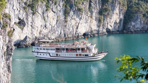 best-bai-tu-long-bay-cruises