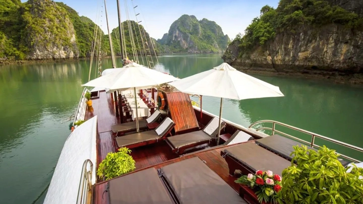 junco-en-bai-tu-long